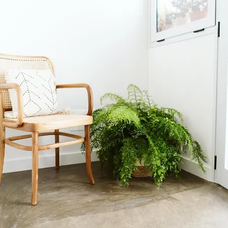 Dreamsea Surf House Fuerteventura Ostello Corralejo