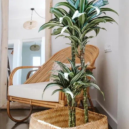 Хостел Dreamsea Surf House Fuerteventura Коральео