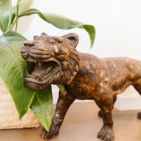 Dreamsea Surf House Fuerteventura