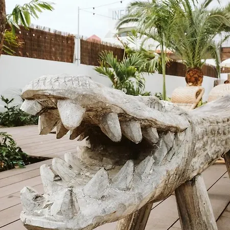 Dreamsea Surf House Fuerteventura