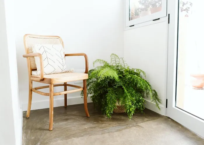 Arena Wave בית נופש קורלחו